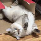 Profile picture of 453517874