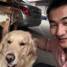 杨先生的头像