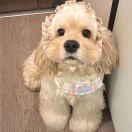 会计宝