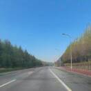 李淑杰