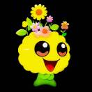 嘻嘻时光浪淘沙