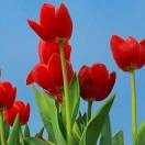 wx_吴芳72
