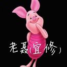 聂宜修