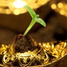 云梯畲族乡毛文鑫13856320117😊的头像-秀琴曲谱网