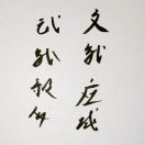 BlackJacks的头像-棉花糖会员站