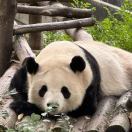 苏志伟-博士钣金 - www.bsbanjin.com