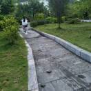 我的小棉袄55018