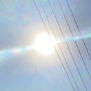 小钦小钦举世皆亲