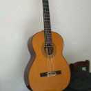 杨维真的头像-秀琴曲谱网