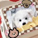 白泽的头像-创薯资源