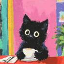 白野橘的头像-助眠音声网