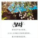 在云端飛翔的兔子