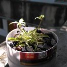 徒行DE蜗牛