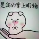 建安汇用户头像