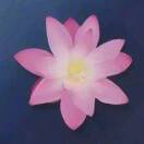 user_ry4is6a4sfecwl0j member profile picture