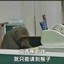 帕尼尼