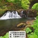 牛女士的头像