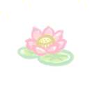 小陆别乱撞._622