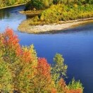 简单幸福的头像-音创社AI SonoCraft丨科技改变未来