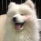 用户73324364的头像Eo音乐Ai机器人 - 听你想听Eo音乐Ai机器人 - 听你想听