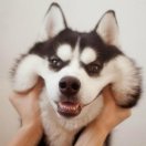 拾忆