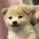 我要睡覺了