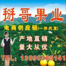 掰哥柑橘供应链[眉山市]