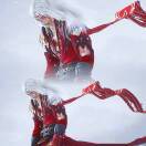 抖落一身风雪