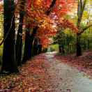 时光偷走当初的头像-博士钣金 - www.bsbanjin.com