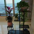 建安汇用户头像