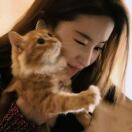 想馨馨了么、头像