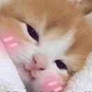 LX的頭像