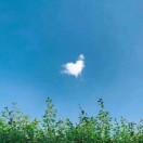 钟先生的头像