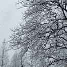 一尘0571-56928353的头像-熵减岛