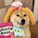 陈巧云