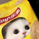 小黑笋笋