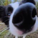 ！Duang的头像-cg男孩