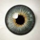 超烦人💢ⁱⁿ¹⁹⁸⁶