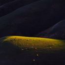 Profile picture of 972442056