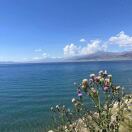 泰森18680773600的头像-由甫网