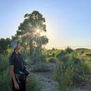 小羊肖恩的头像-秀琴曲谱网