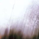 Hampton tower转租&房东直租