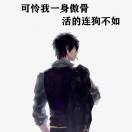 杨先生的头像