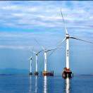 老虫的头像-熵减岛