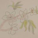 听雨的头像-熵减岛