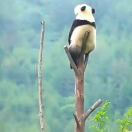 Sandy_565