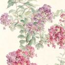 Sandy_565