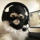 笑笑的头像-小鑫の小屋