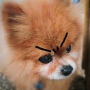 吨吨吨