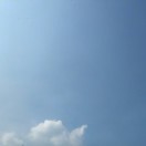 風(fēng)中